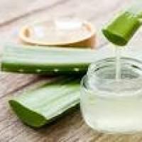 Aloe Vera Para El Pelo