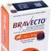 bravecto-precio-amazon