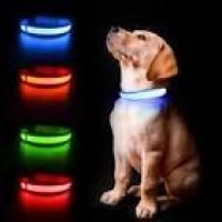 collar-luminoso-perro-lidl