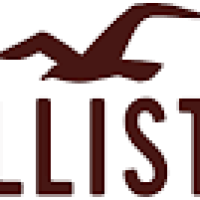 www.hollisterco.com